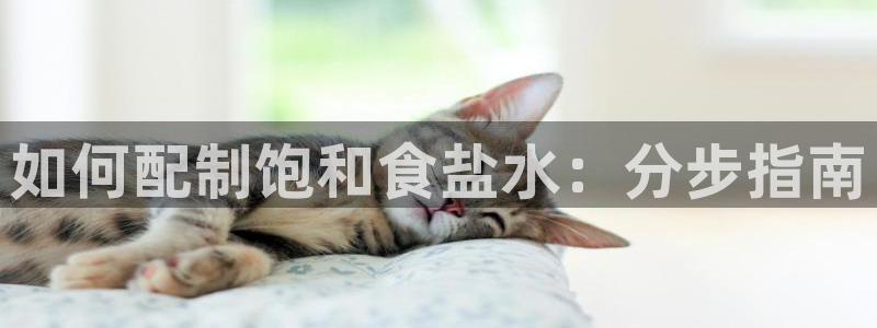 威九国际网站