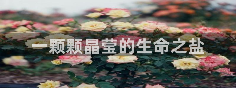 78mapp威九国际人民网