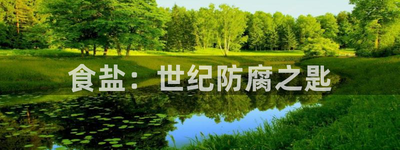 威九国际精选