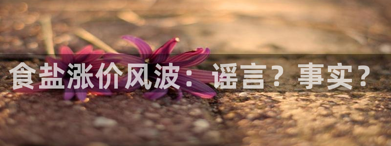 威九国际app
