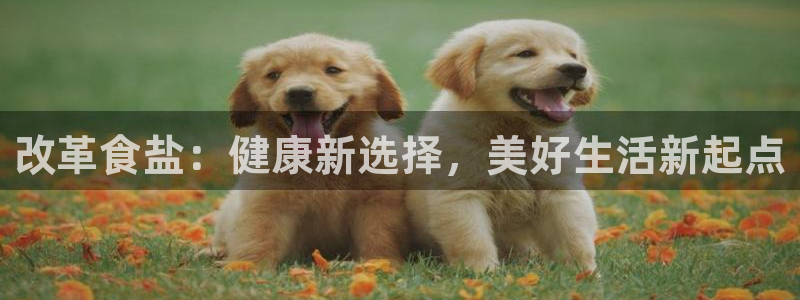威九国际网站进入产品分类