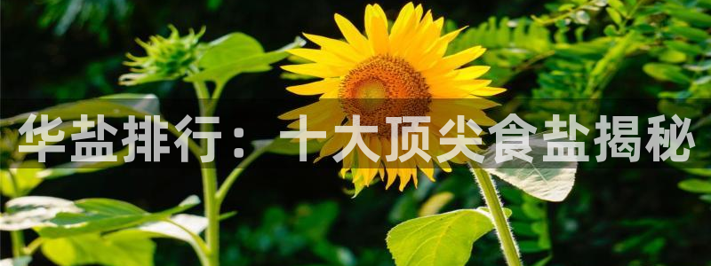 威九国际app大全下载安装