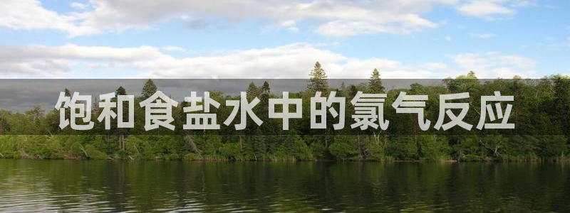 威九国际66m