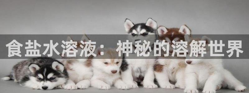威九国际78mob游戏说明
