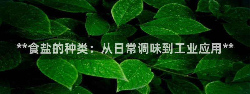 威九国际66cm