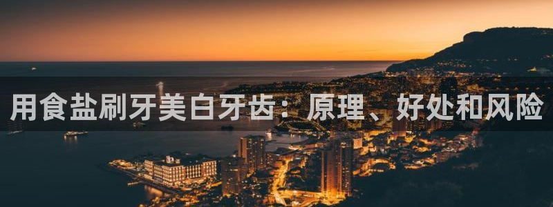 威九国际top