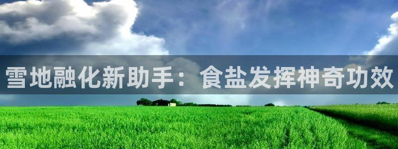 威九国际v96bet下载