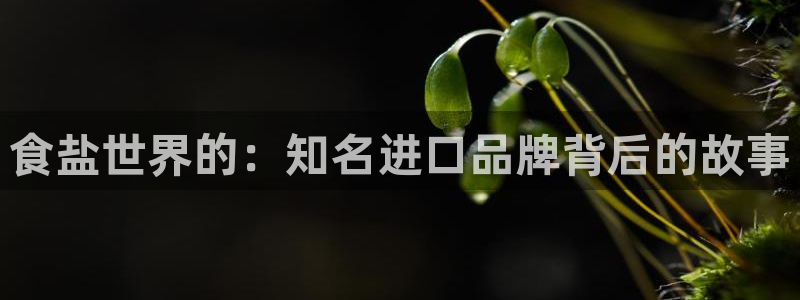 威九国际合作伙伴有哪些