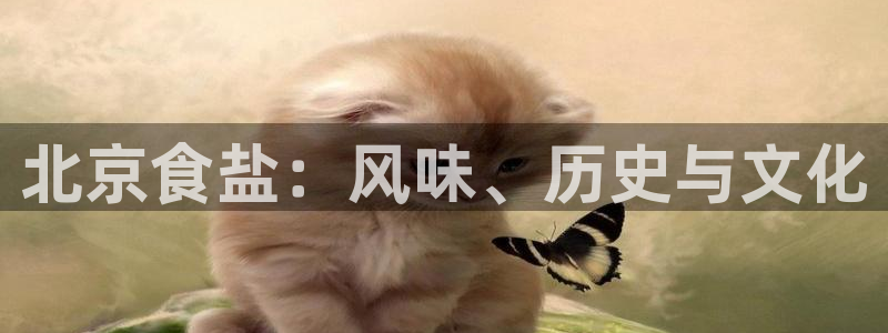 威九国际网站进入AB,AB
